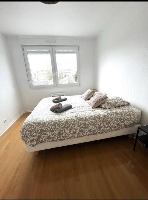 Appartement La Terrasse De Clovis à Reims Extérieur photo